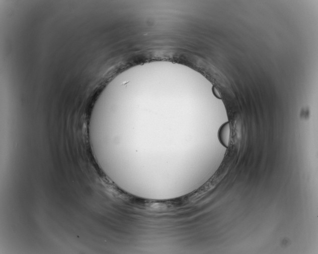 X0000102340522200808010915