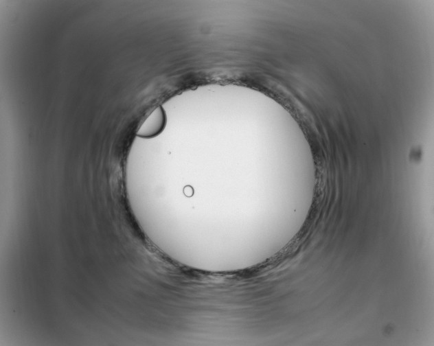 X0000102340523200808010915