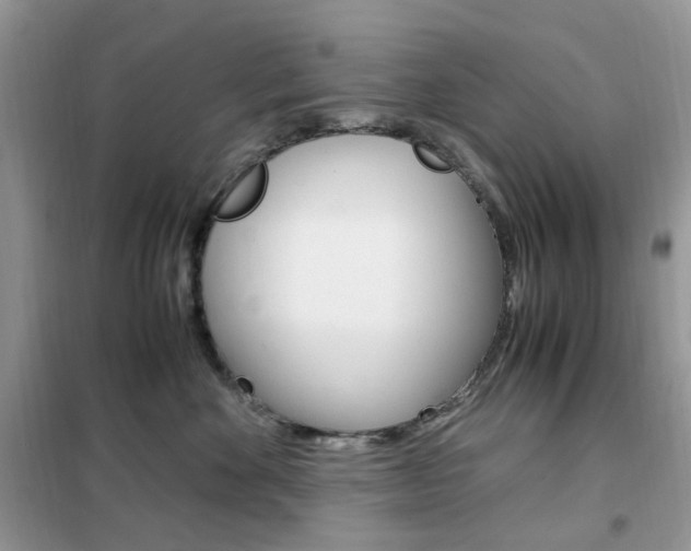X0000102340524200808010915