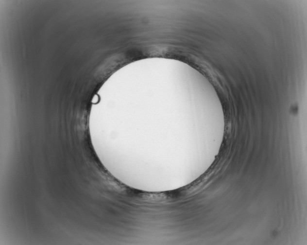 X0000102340525200808010915