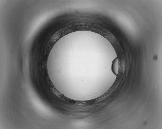 X0000102340526200808010915