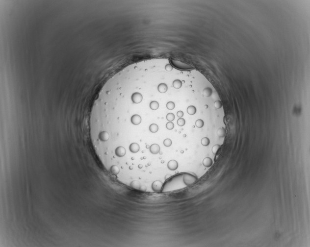 X0000102340527200808010915