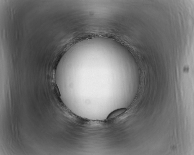 X0000102340528200808010915