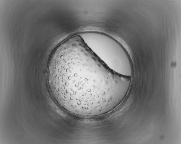 X0000102340529200808010915