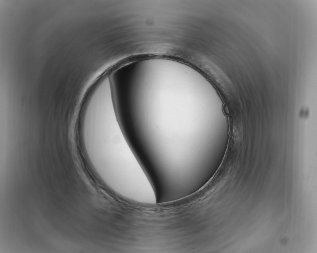 X0000102340532200808010915