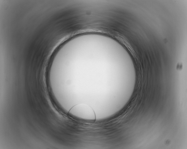 X0000102340534200808010915