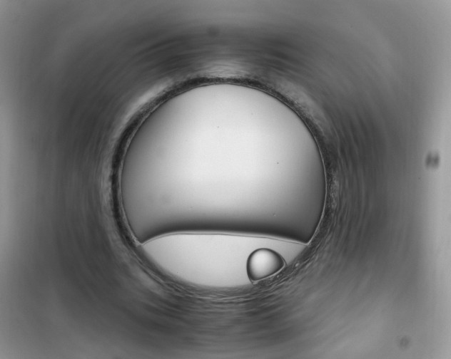 X0000102340535200808010915