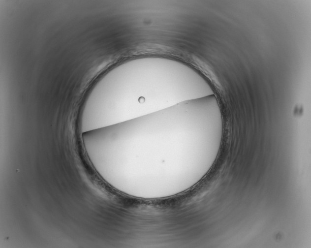 X0000102340538200808010915