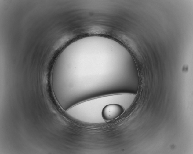 X0000102340539200808010915