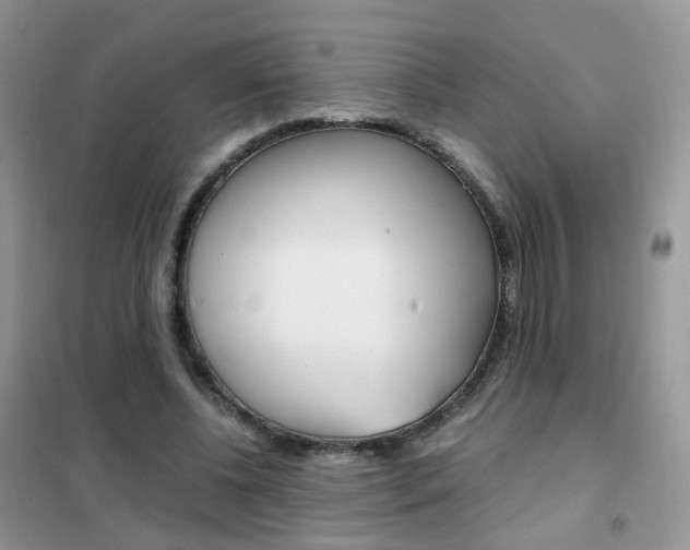 X0000102340540200808010915