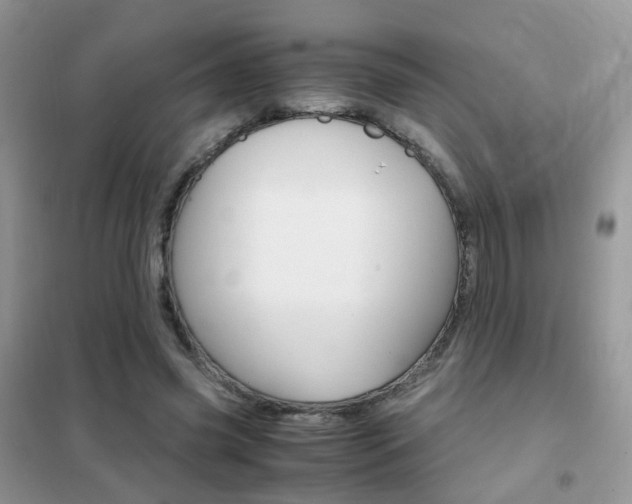 X0000102340541200808010915