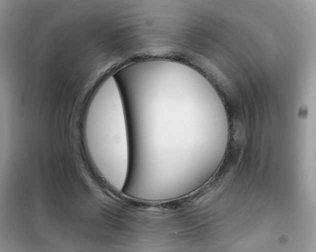 X0000102340542200808010915
