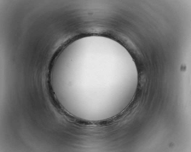 X0000102340544200808010915