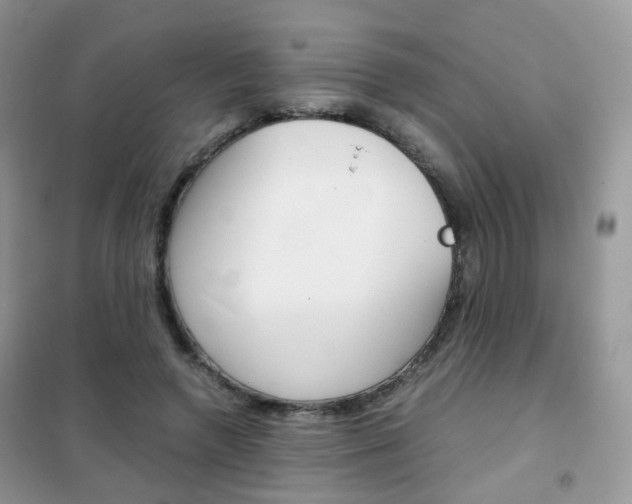 X0000102340546200808010915