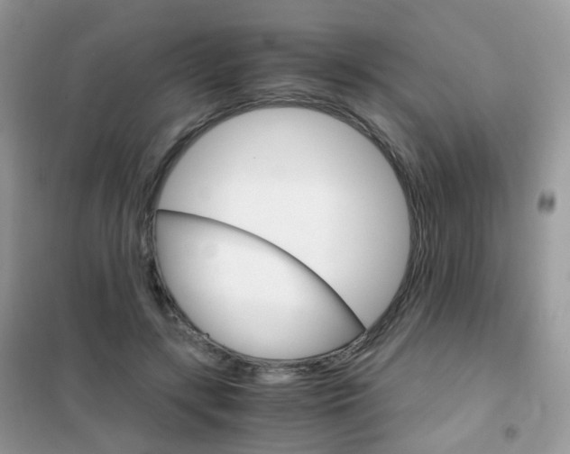 X0000102340547200808010915