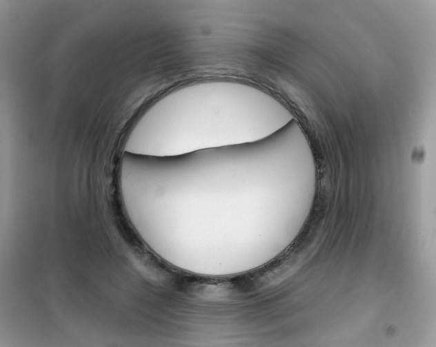 X0000102340548200808010915