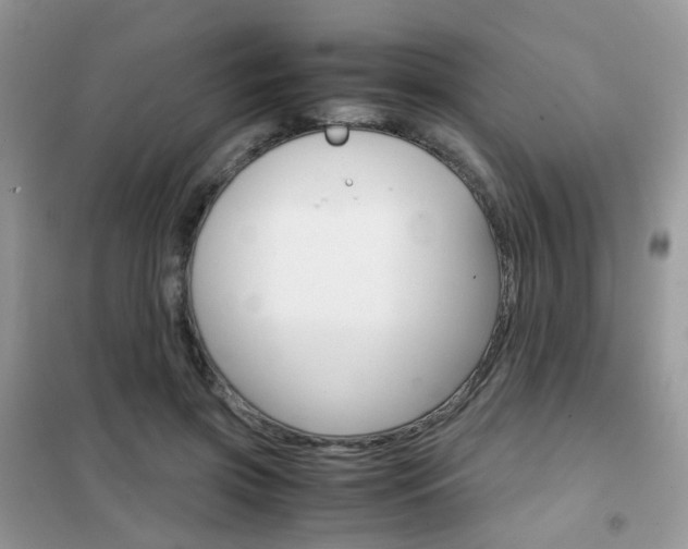 X0000102340549200808010915