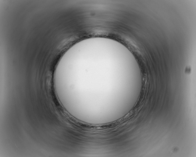 X0000102340550200808010915