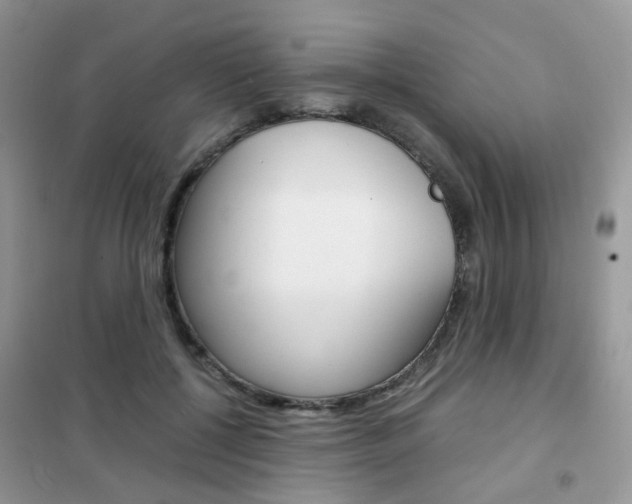 X0000102340552200808010915