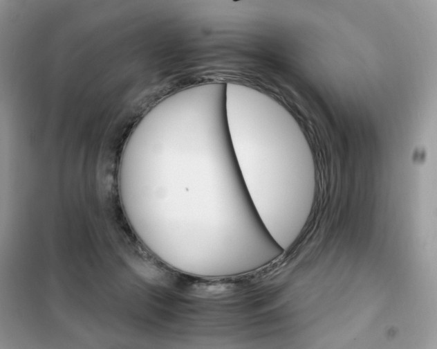 X0000102340553200808010915