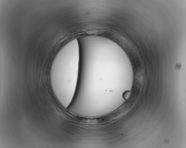 X0000102340554200808010915