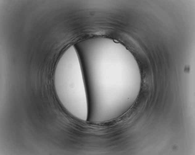 X0000102340555200808010915