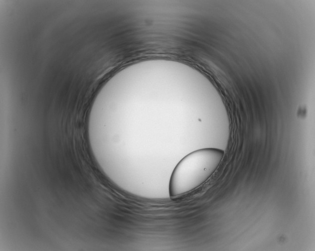 X0000102340556200808010915