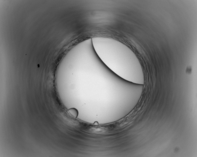 X0000102340557200808010915