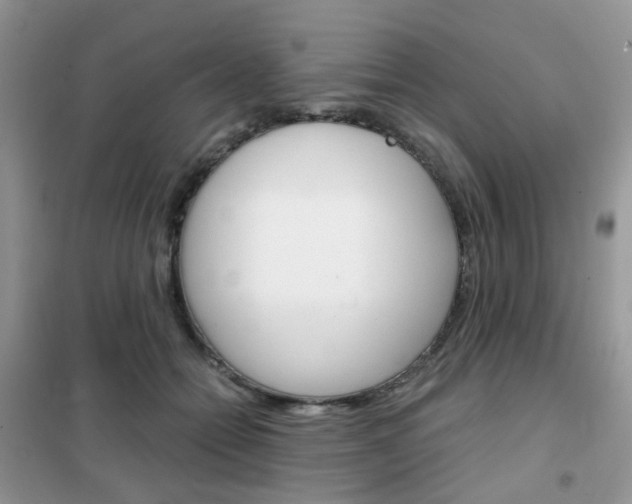 X0000102340558200808010915
