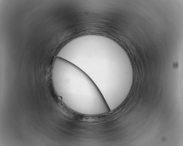 X0000102340559200808010915