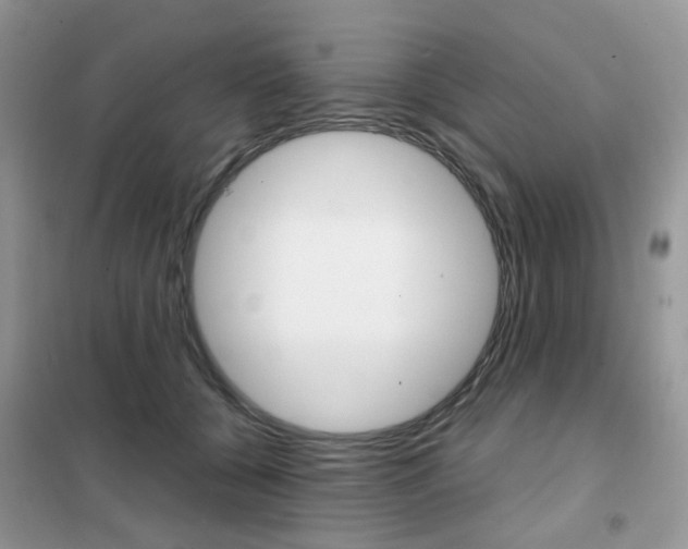X0000102340560200808010915