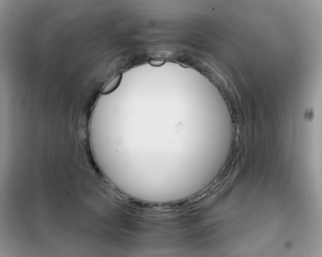 X0000102340561200808010915