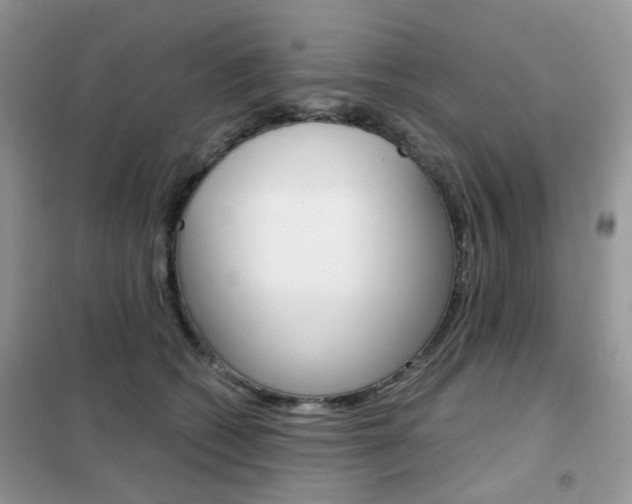X0000102340562200808010915
