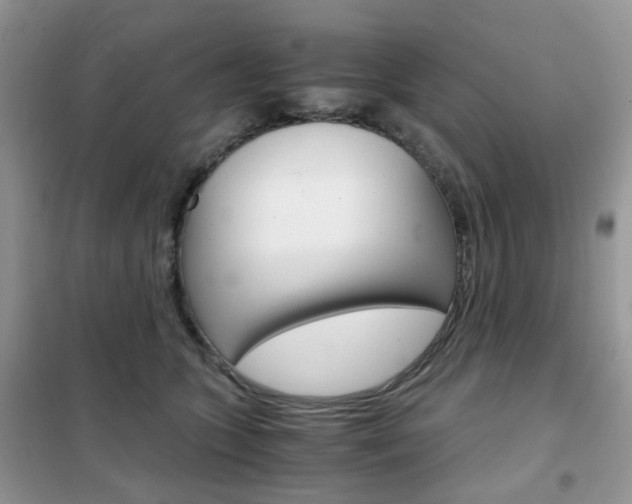 X0000102340563200808010915