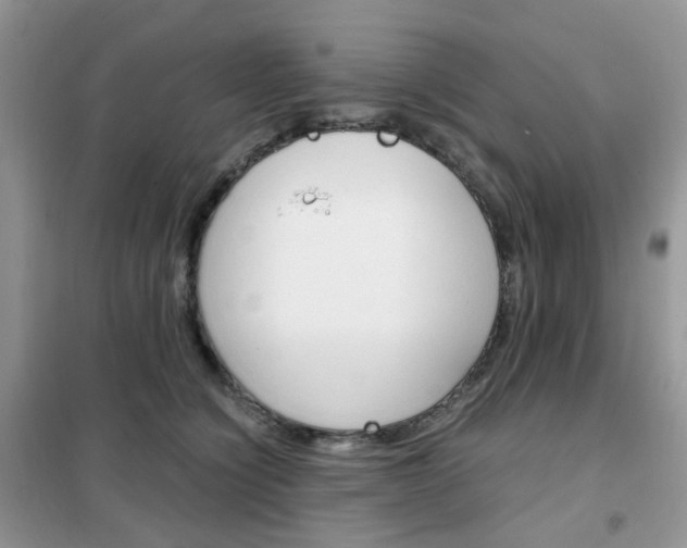 X0000102340564200808010915