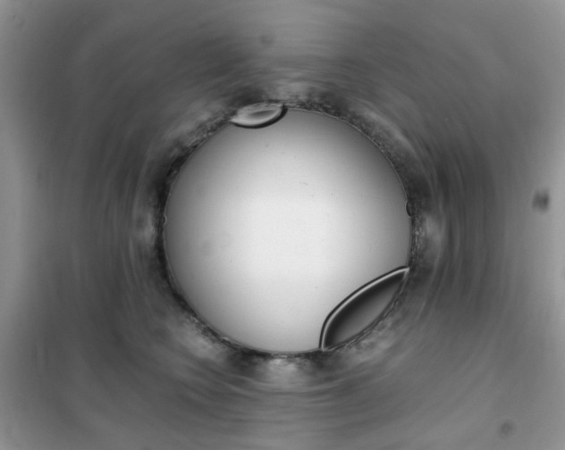 X0000102340566200808010915