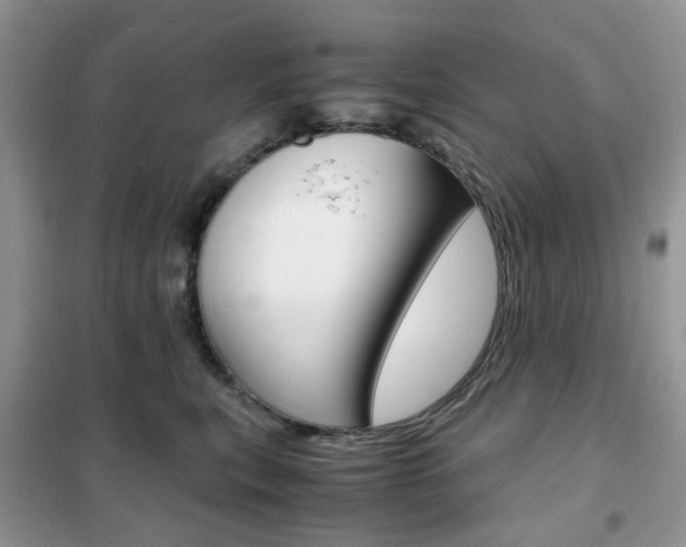 X0000102340567200808010915