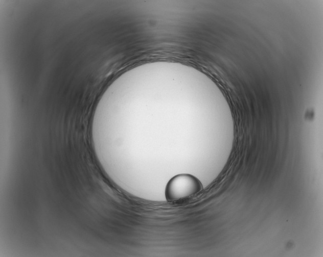 X0000102340568200808010915