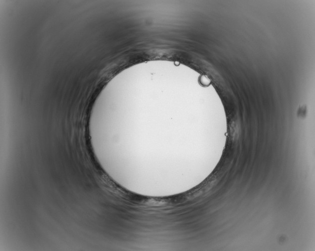 X0000102340570200808010915