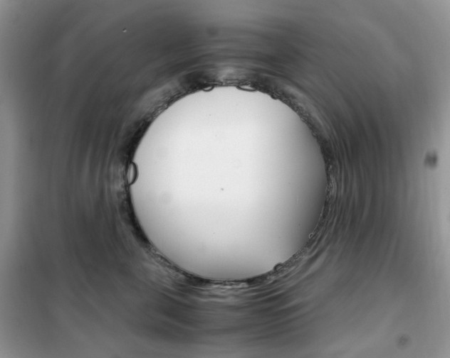 X0000102340571200808010915