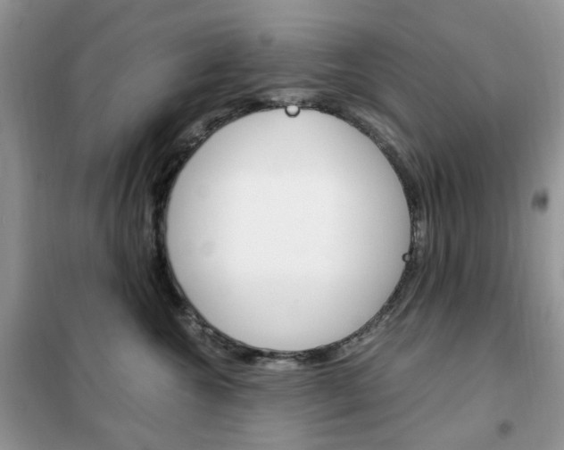 X0000102340572200808010915
