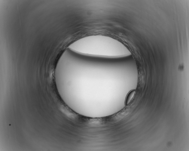 X0000102340574200808010915