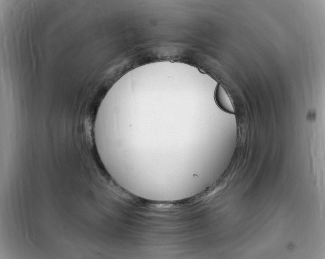 X0000102340575200808010915