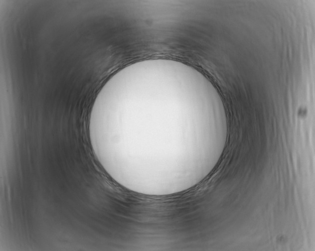 X0000102340576200808010915