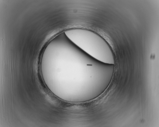 X0000102340578200808010915
