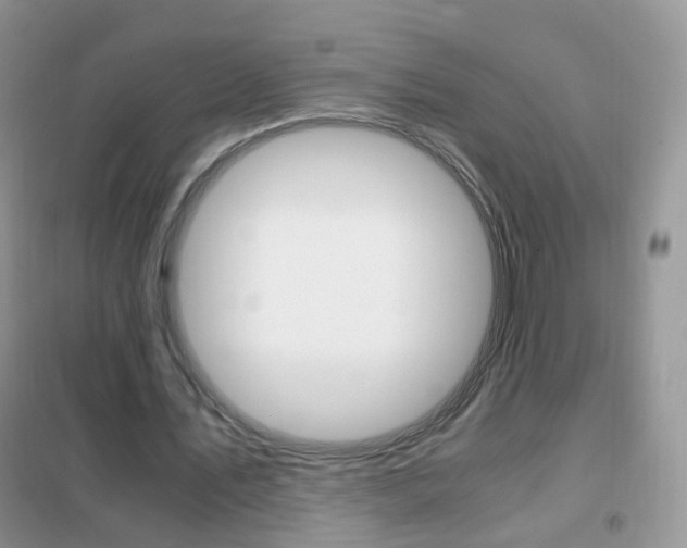 X0000102340579200808010915