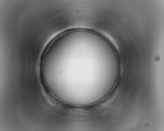 X0000102340580200808010915