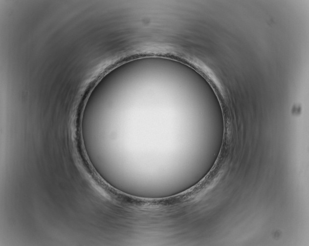 X0000102340581200808010915