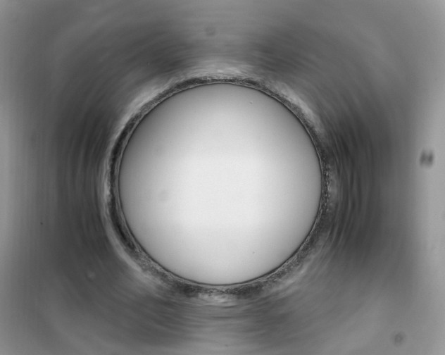 X0000102340582200808010914