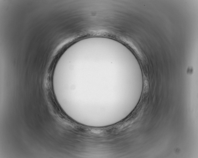 X0000102340583200808010914